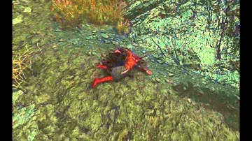 Skyrim Modded to Hell and $100 Giveaway - Channel Update