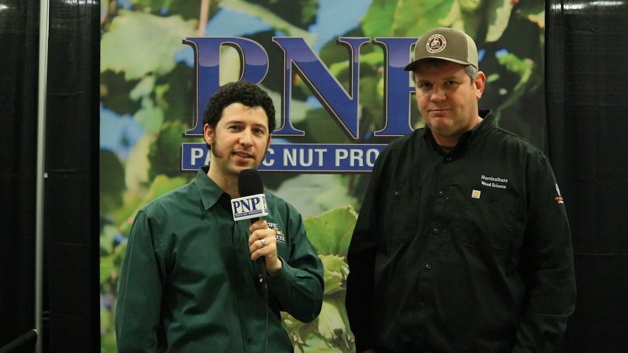 Удаление присоской с фундука