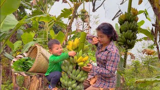 Life of a 17-Year-Old Single Mother - First Fish Pond on the Farm Picking Bananas to Sell - ly tu ca