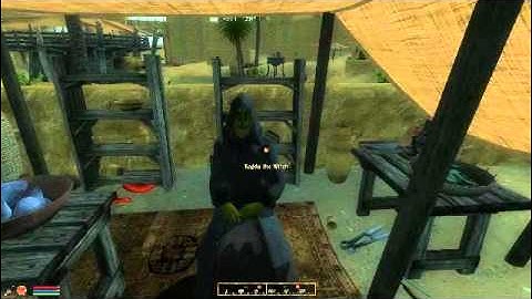 TES: IV Oblivion Elsweyr: The Deserts of Anequina Quest: Stuffed With Love Pt. 1