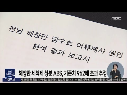 물고기 떼죽음 당한 고흥 해창만.. ABS 기준치 &amp;#39;962배&amp;#39; 추정, &amp;quot;화합물도 검출&amp;quot;[목포MBC 뉴스투데이]