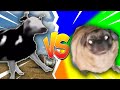 Polish Cow vs Pug Vibing Dancing competition