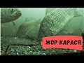 Жор Карася. Рыбалка на Карася  на поплавок . Река Южный Буг. Сьемки под водой.