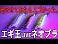 ケイムラとの差が一目瞭然。新発売の「ネオブラカラー」を実際に光らせてみたら衝撃でした。