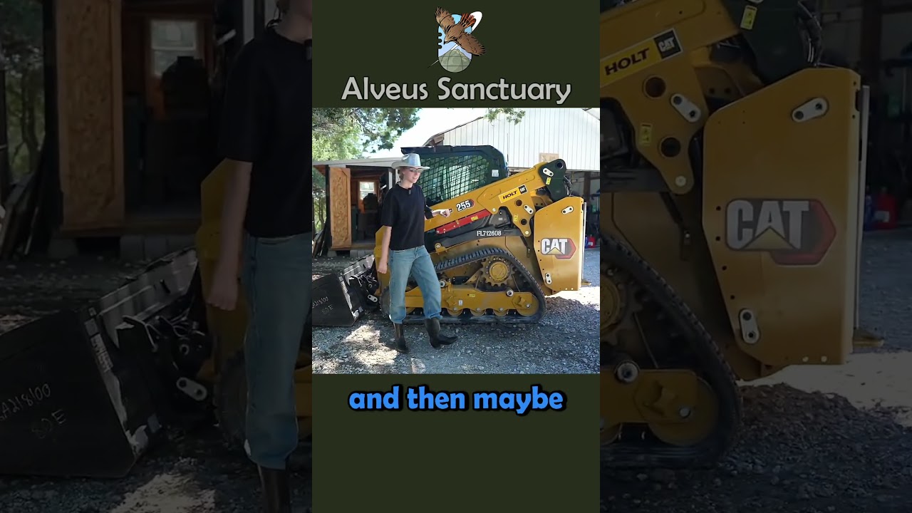 KatieB's spontaneous photoshoot 😭 #alveussanctuary #katieb #mayahiga