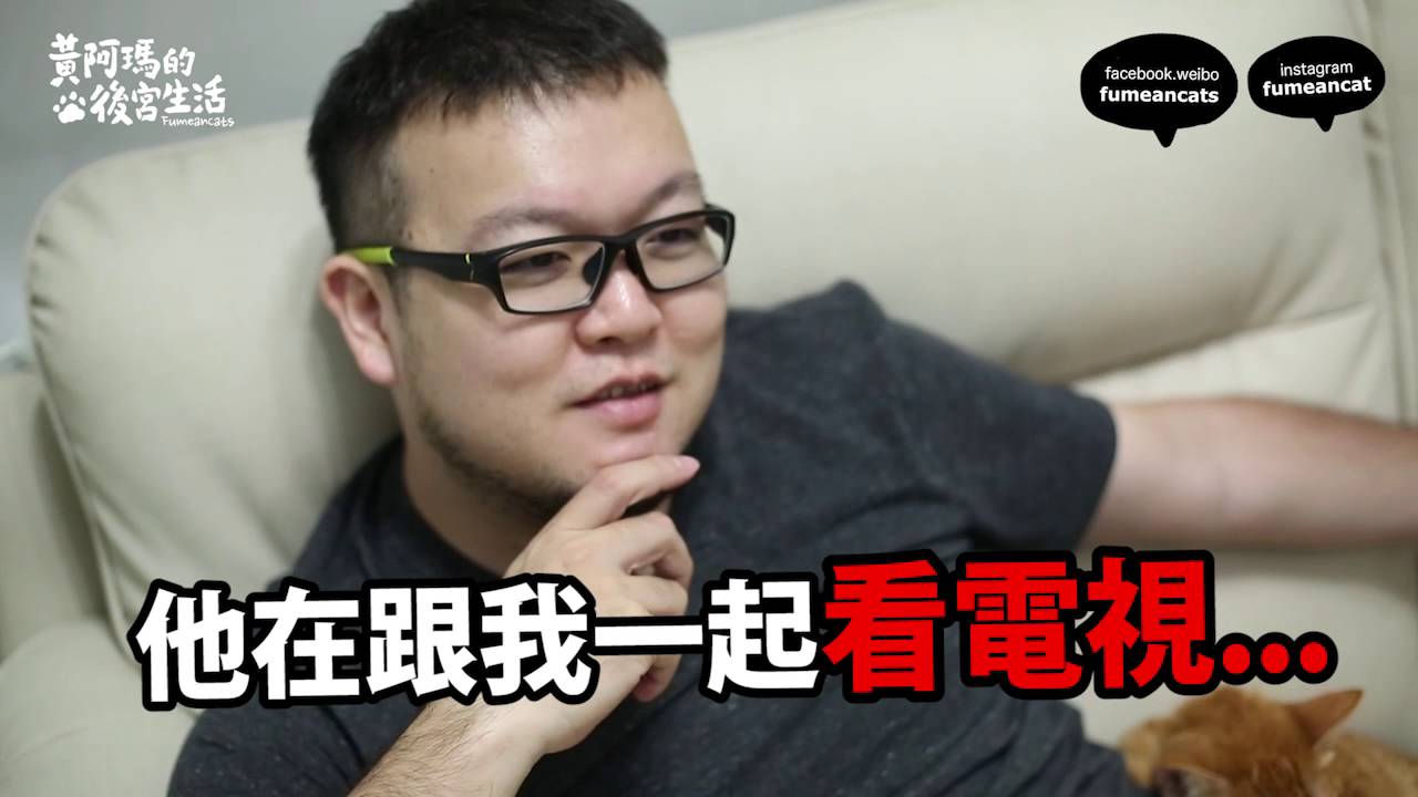 黃阿瑪的後宮生活-人與貓的電視時光
