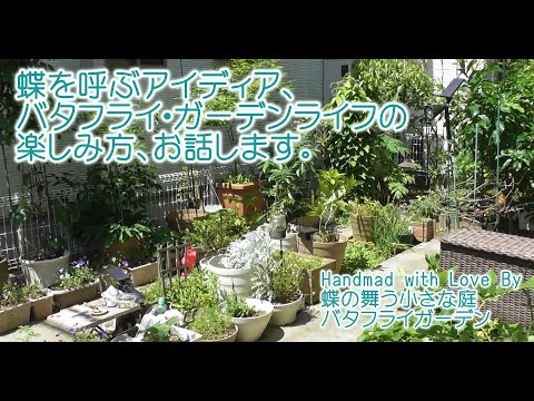 蝶々を呼ぶ5つの植栽レシピと実践するコツ