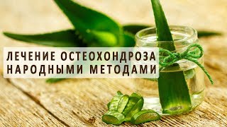 Лечение остеохондроза народными методами Лечение остеохондроза народными методами