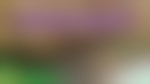 How to Make Hash - Cannabis Craftsmanship