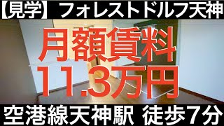フォレストドルフ天神｜1LDK｜38.78㎡｜2017年3月新築｜大和リビング