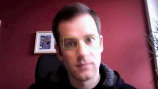 Accurate eye center localisation for low-cost eye tracking Wealth