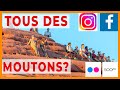 Les RÉSEAUX SOCIAUX pour PHOTOGRAPHES. Le(s)quel(s) choisir ?