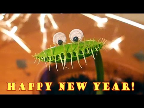 freaks movie HAPPY NEW YEAR from Charlie the Venus Flytrap!