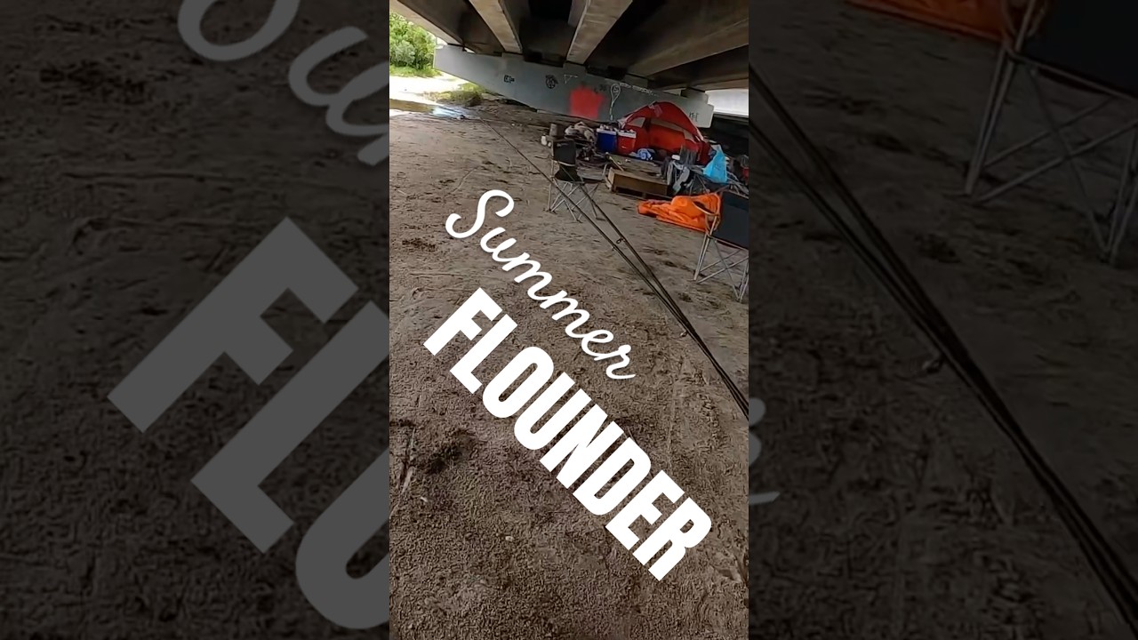 Catching FLOUNDER in Florida's SLUMS 