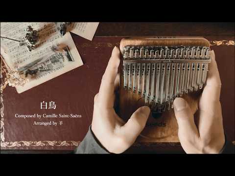 The Swan - Camille Saint-Saëns
