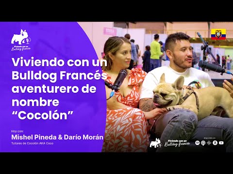 Viviendo con un Bulldog Francés aventurero de nombre “Cocolón” 🐽 ft. Mishel y Dario Viviendo con un Bulldog Francés aventurero de nombre “Cocolón” 🐽 ft. Mishel y Dario