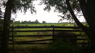 Bupinder Dil Akhir Dil Hai  Music Khayyam
