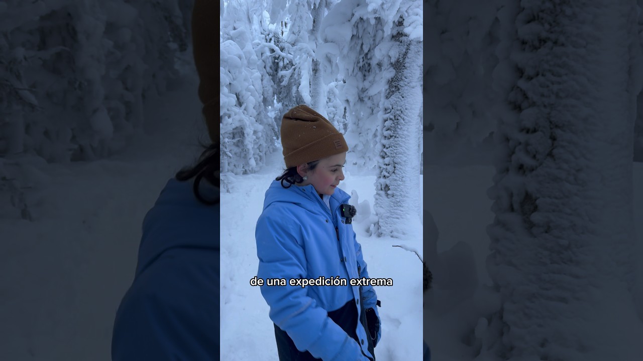 El bosque de Narnia existe en Québec