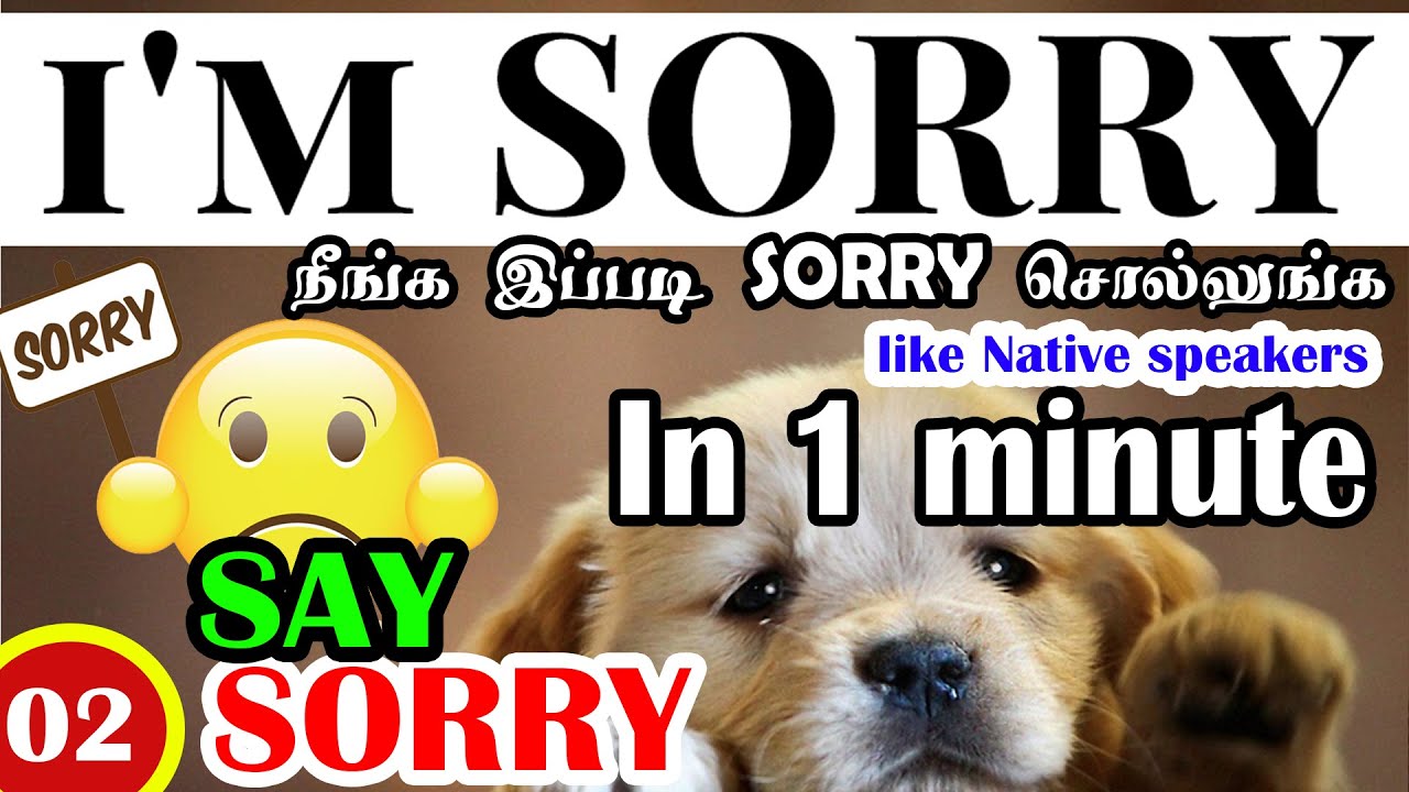 Say sorry other ways to say sorry How say sorry properly Sorry in