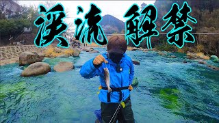 渓流解禁日にヤマメを釣りに行ったら...！！