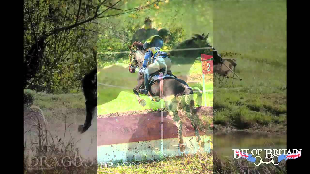 Myler Bits Eggbutt Comfort Snaffle Youtube