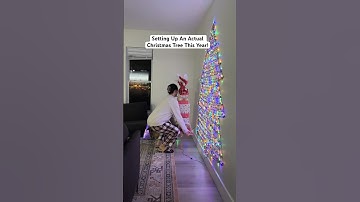 Setting Up An Actual Christmas Tree This Year! #christmastree #christmasdecor #christmastreedecor