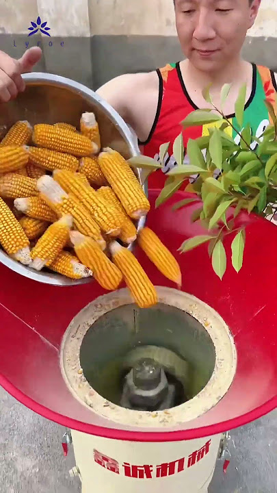 K300 Ultimate Feed Pellet Machine: Revolutionize Your Livestock Feed Production! #feedpelletmachine