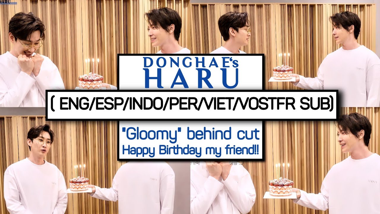 [ENG/ESP/INDO/ARB/PER/VIET SUB] 은혁 생일기념 디앤이 D&E 우울해 “Gloomy” behind cut! Happy birthday to my friend