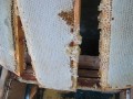 Откачка меда на кочевой пасеке / Pumping honey on a nomadic apiary