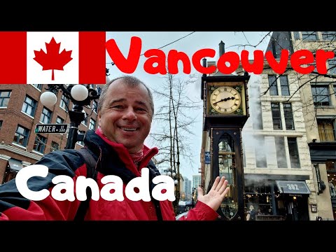 Video: Observarea balenelor în Vancouver: Ghidul complet