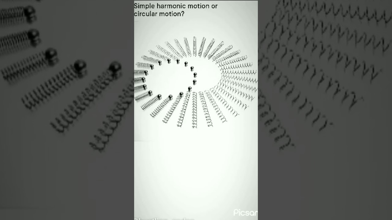 An example of Circular Motion || #Science