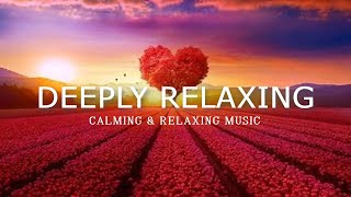 Love💖& Honor - Soft Piano & Instrumental Music🌿Stress Relief, Soul Healing, Relaxing, Calming Music screenshot 1