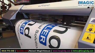 Máy in decal chuyển nhiệt - Tích hợp in và cắt decal chuyển nhiệt