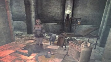 Haunting ground funny moment