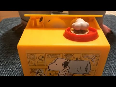 お金を盗む可愛すぎるスヌーピー貯金箱 Youtube
