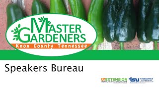 Prune Like A Pro Fig Remake