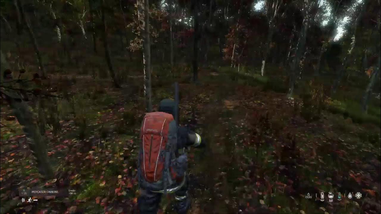 Dayz i Need Charcoal TABS YouTube