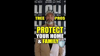 Why Professional Tree Care Matters for Your Family’s Safety