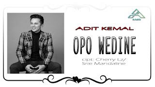 Adit Kemal - Opo Wedine - Behind The Scene