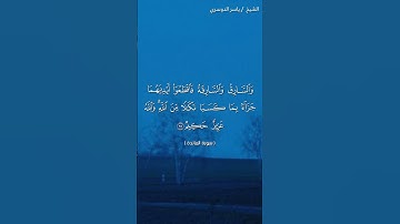سورة المائدة ( ٣٨ - ٣٩) /  ياسر الدوسري