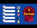 Understanding the Five Senses
