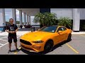 Is the 2019 Ford Mustang EcoBoost really that BAD?