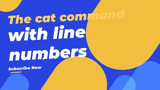 Boost Your Linux Skills: Learn How to Easily Add Line Numbers