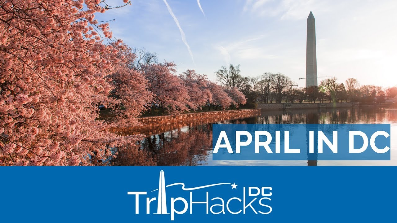 Tips for Visiting Washington DC in April YouTube