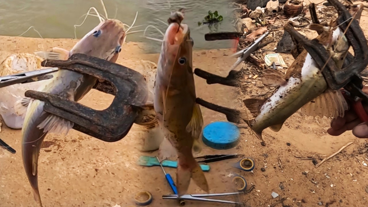 I fished again in the river with the popular Catfish