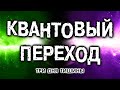 8. Квантовый Переход. Три дня тишины