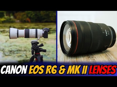 Best Lenses for