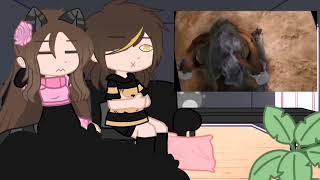 видео: Реакция на  картинка: Реакция на