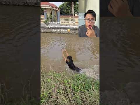 Thả diều kết hợp với tắm sông