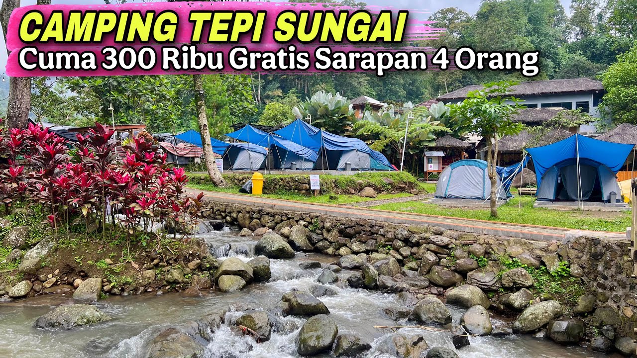 Camping Tepi Sungai Cuma 300 Ribuan Untuk 4 Orang Dan Gratis Sarapan | Muara Jambu Camp